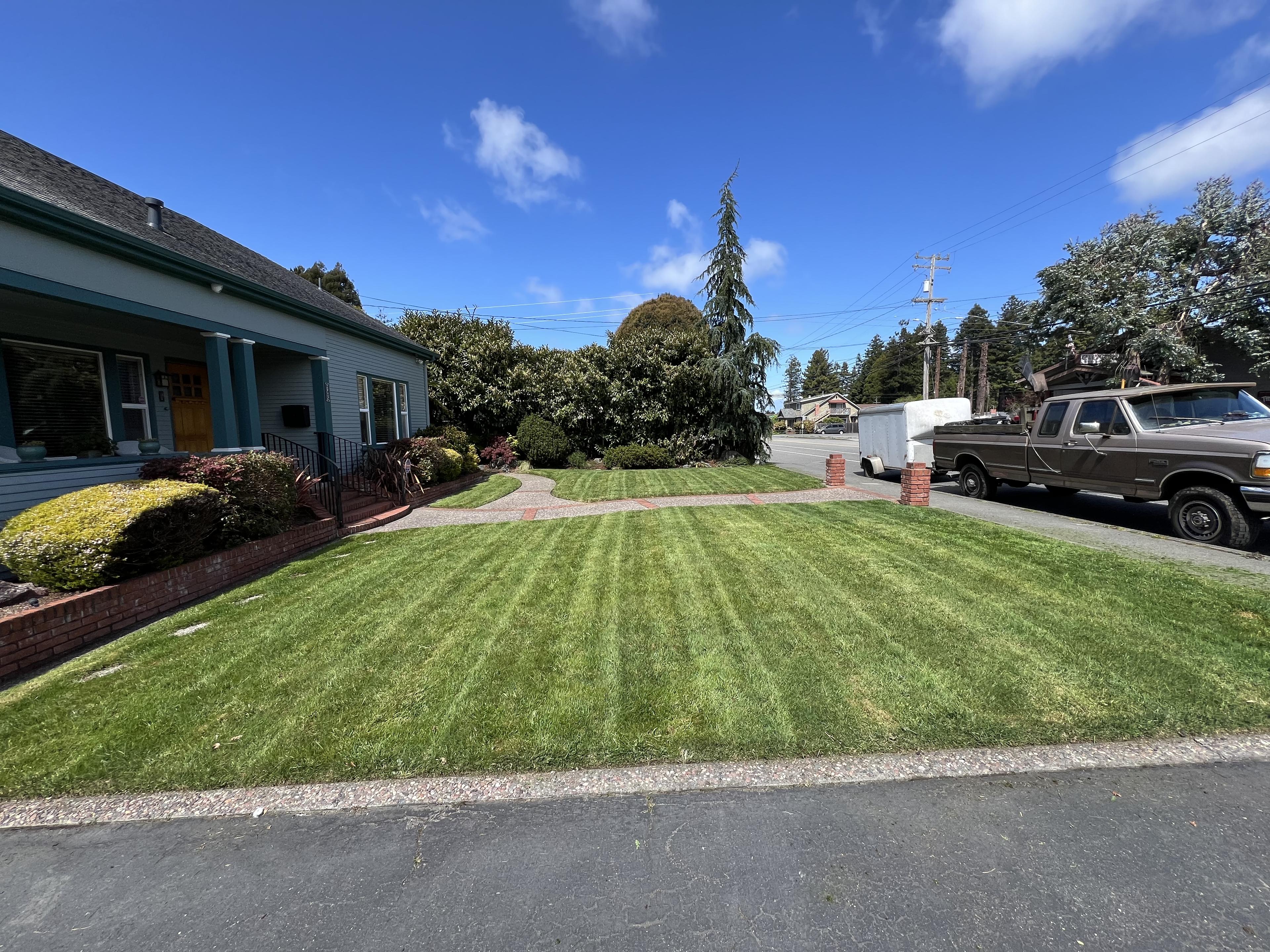 Regular maintenance and yard care