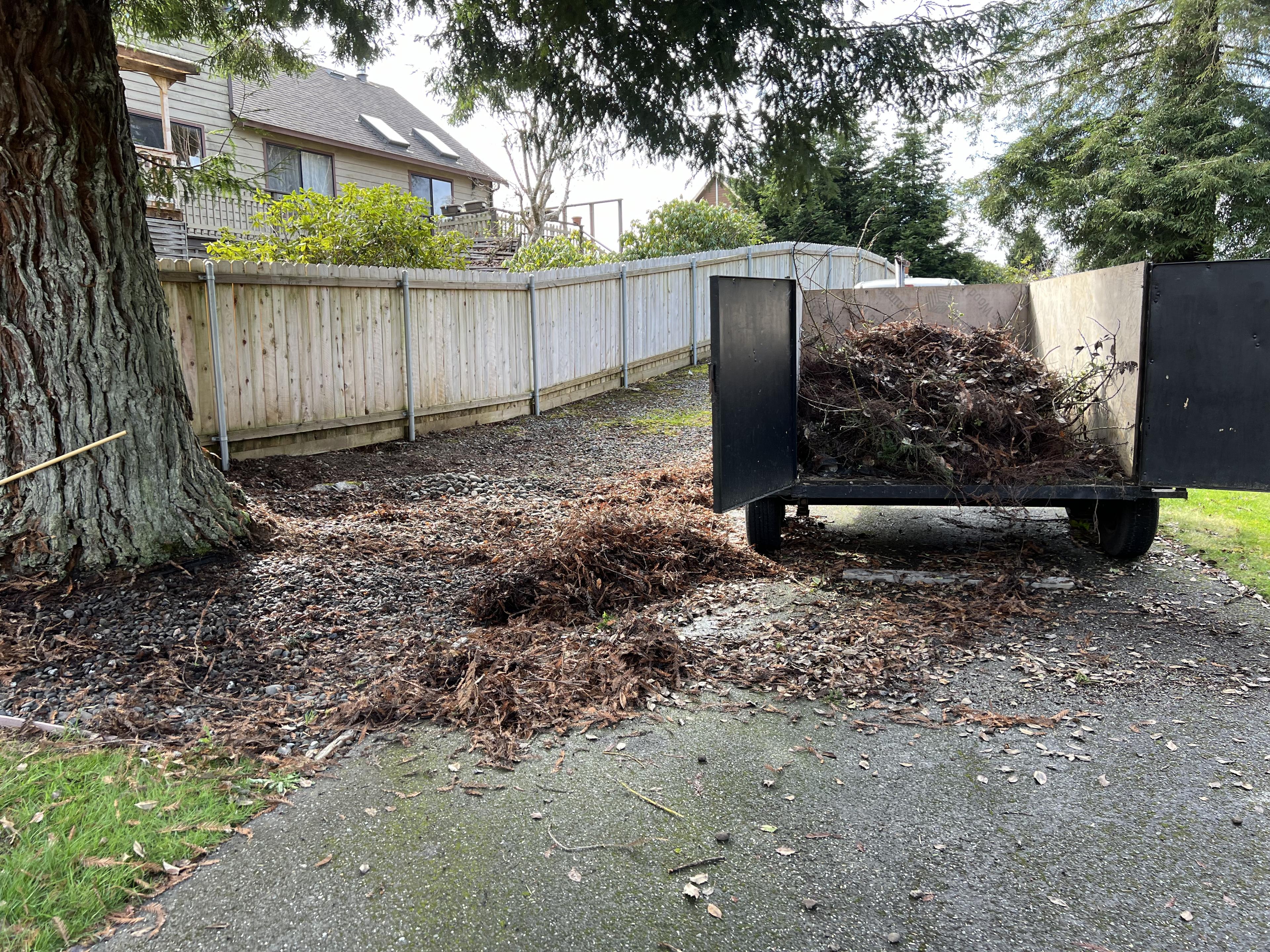 Property cleanup and green waste hauling