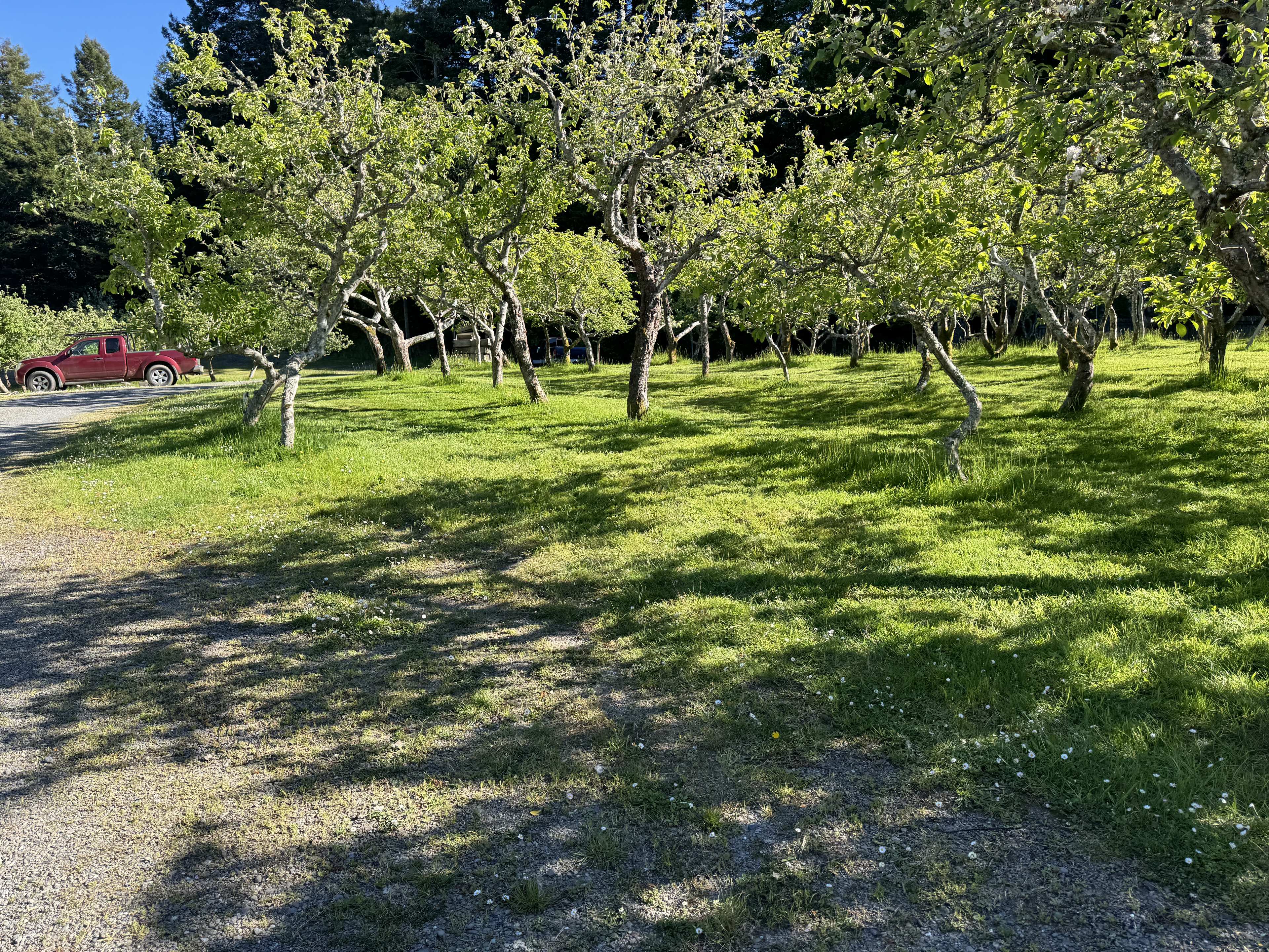 Landscaping services in Humboldt County